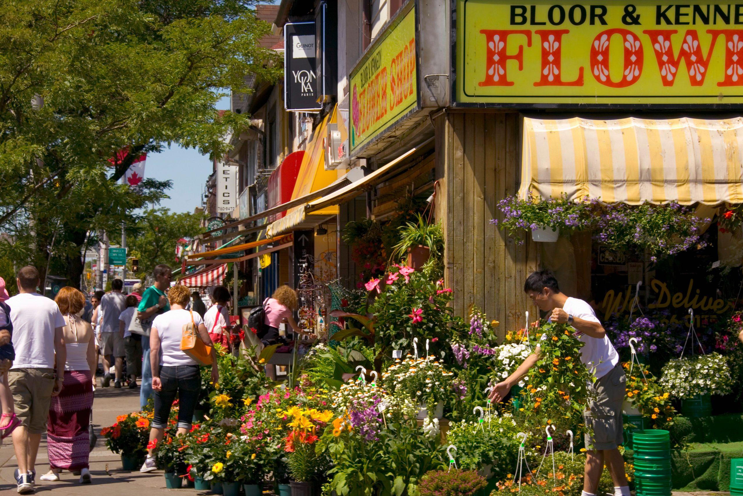 Bloor West Village, Toronto, Ontario