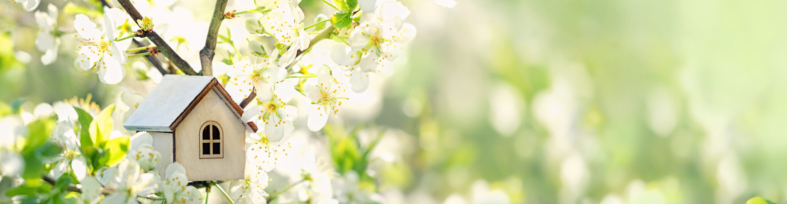 Buying approach: Miniature house nestled in blooming cherry blossoms, representing the true cost of buying a home.